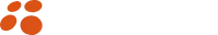 Foreview Partners logo